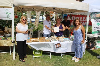 Köpekler Hünerlerini Sergiledi