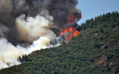 Marmaris'te orman yangını! Alevler rüzgarın etkisiyle büyüyor