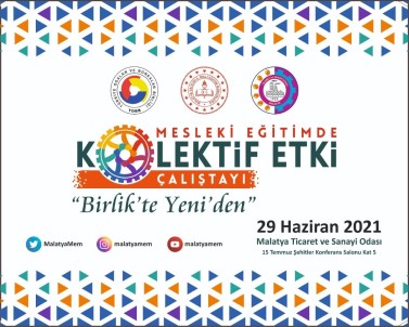 Mesleki Egitimde Kolektif Etki Çalistayi Düzenlenecek