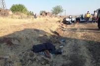 DİREKSİYON - Siverek'te Trafik Kazasi Açiklamasi 1 Ölü, 3 Yarali