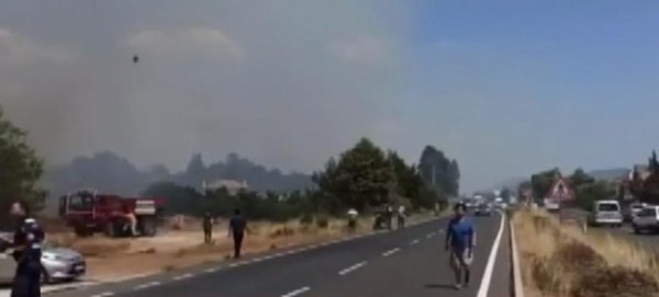 Muğla'da orman yangını! Yerleşim yerlerini tehdit ediyor