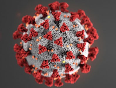 28 Haziran koronavirüs tablosu!