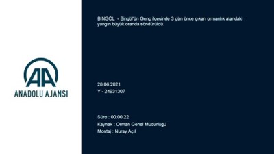 Bingöl'de Ormanlik Alanda Çikan Yangin Büyük Oranda Söndürüldü