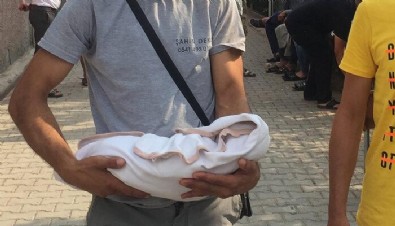 Bu acıya yürek dayanmaz! Ölen bebeğini kucağında böyle taşıdı...