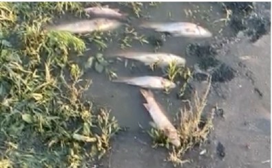 İSKİ felaketi gömdü! CHP'li İBB göz yumdu!