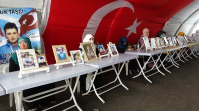 Eylemdeki Anne Çiftçi'den PKK'ya Lanet