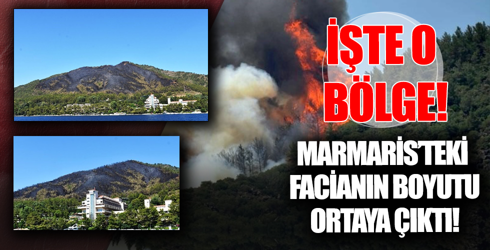 Marmaris'teki orman yangınının boyutu ortaya çıktı!