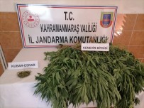 Kahramanmaras'ta Uyusturucu Operasyonu