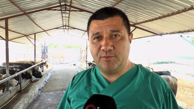 Kurbanlik Alacaklara Uzmanindan Önemli Uyarilar