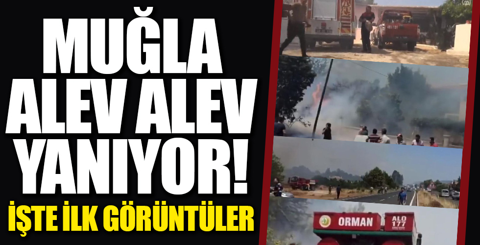 Muğla'da orman yangını! Yerleşim yerlerini tehdit ediyor
