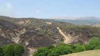 HELIKOPTER - Orman Yanginina Havadan Ve Karadan Müdahale Sürüyor, Yüzde 70 Oraninda Kontrol Altina Alindi