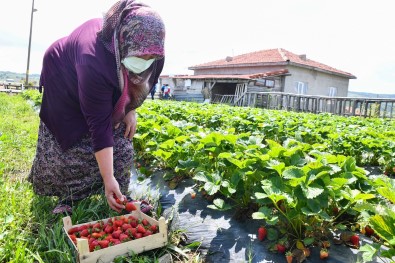 Tepebasi'nda Kadinlar Emeginin Karsiligini Aliyor