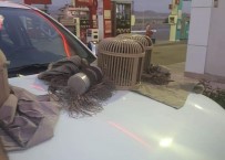  SİVAS - Usulsüz Avlanmalari Pahaliya Patladi