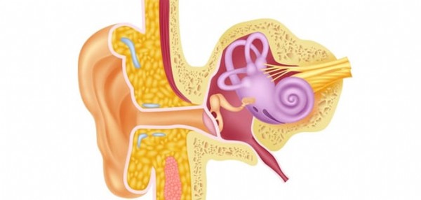 vertigo tedavisi nasıldır
