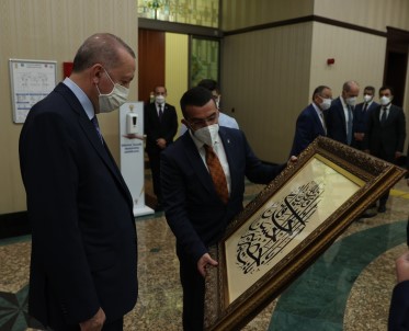 Baskan Çalkin, Cumhurbaskani Erdogan Ile Görüstü