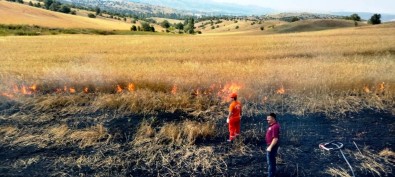 Hisarcik'ta Yüksek Gerilim Hatti Koptu, Hububat Tarlasi Alev Alev Yandi