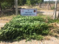 EROIN - Izmir'de Uyusturucu Operasyonu Açiklamasi 7 Gözalti