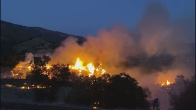 Izmir'de Zeytinlik Alanda Çikan Yangin Söndürüldü