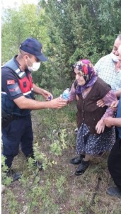 Kaybolan Yasli Kadin Jandarma Ekiplerince Bulundu