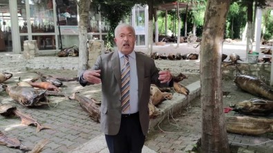 Kenan Balci Açiklamasi 'Imamoglu'na Inandik, Güvendik, O Sözünde Durmadi'