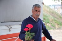 AFRIKA - Korona Sayesinde Balkonlar Bahçeye Dönüstü