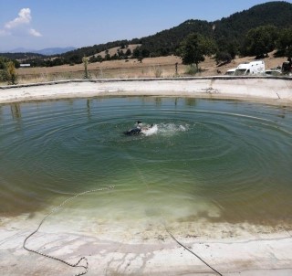 Osmaniye'de Yangin Söndürme Havuzuna Giren 2 Çocuk Boguldu