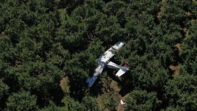 Uçagin Mecburi Inis Yaptigi Bahçenin Sahibi Açiklamasi 'Ben Geldigimde Yaralilarin Durumu Iyiydi'