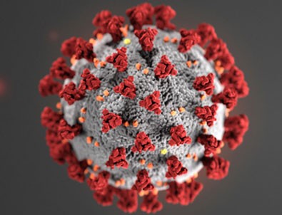 3 Haziran koronavirüs tablosu!