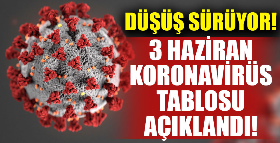3 Haziran koronavirüs tablosu!