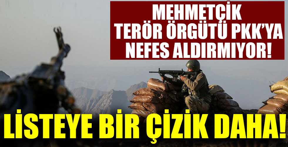Bitlis'te öldürülen 3 PKK'lı teröristten birinin gri kategoride arandığı belirlendi!