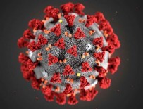 30 Haziran koronavirüs tablosu!