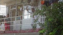 REHİN - Adana'da Dehset Açiklamasi Uyusturucu Krizine Girdi Annesi, Ablasi Ve 4 Yegenini Rehin Aldi