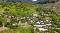 GÜRCISTAN - Artvin'deki 2 Bin Rakimli Maden Köyü Ahsap Mimarisi, Kültürü Ve Dogasiyla Ilgi Çekiyor