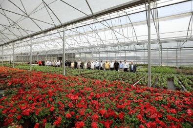 Baskan Fadiloglu, ANESIAD Üyelerini Bilgilendirdi