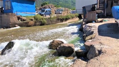 Çatalagzi'ndaki Kirliligin Nedeni ÇATES Degil