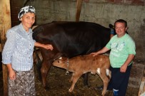 Cüce Kari-Kocanin Örnek Alinacak Yasantisi