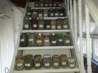  SU  - Dag Evini Tibbi Ve Aromatik Bitkiler Müzesine Dönüstürdü