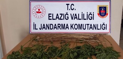 Elazig'da Uyusturucuyla Mücadele Çalismasi