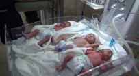 BEBEK - Gaziantep'te Üçüz Bebek Sevinci