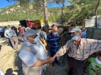 Hanönü'nde Kurbanliklarin Satisi Basladi