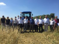 Hayrabolu'da Mera Islah Çalismalari Basladi