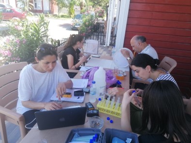 Hayvanlardan Insana Geçen Sark Çibani Artinca, Özel Ekip Bölgeye Geldi