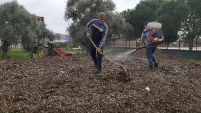 Herkes Çöp Diye Yakiyordu, Çok Degerli Bir Gübre Oldugu Ortaya Çikti
