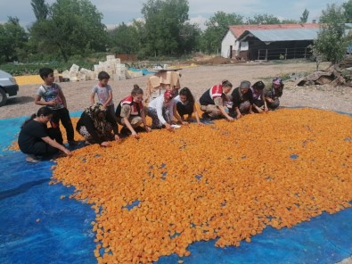 Jandarma'dan Bahçede Çalisan Kadinlara Egitim