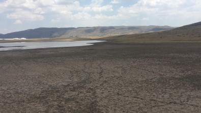 Kuraklik Bingöl'ün Içme Suyunu Yüzde 32 Azaltti, Baskan Tasarruf Çagrisinda Bulundu