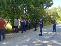  BOLU - Tellere Takilan Ayi Uyutularak Kurtarildi