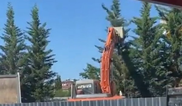 CHP'li İBB'den ağaç katliamı!