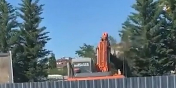 CHP'li İBB'den ağaç katliamı!