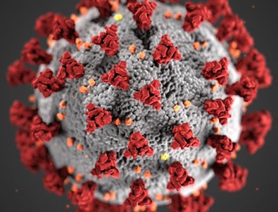 4 Haziran koronavirüs rakamlar!