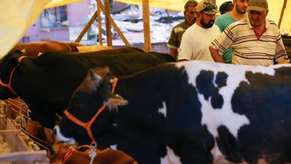 2021 Kurban Bayramı Ne Zaman? Bayram Tatili Kaç Gün Sürecek?